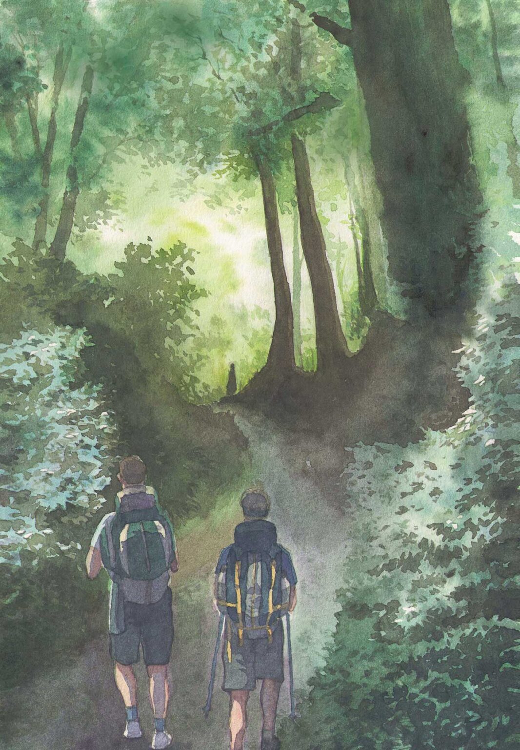 Cammino sulle orme di san francesco acquerello Federico Buratti