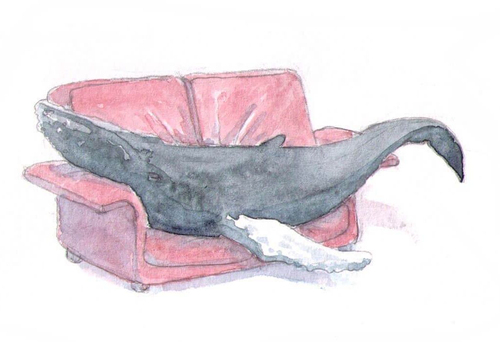 Megattera divano illustrazione acquerello Federico Buratti