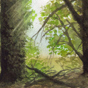 alberi in campagna acquerello Federico Buratti