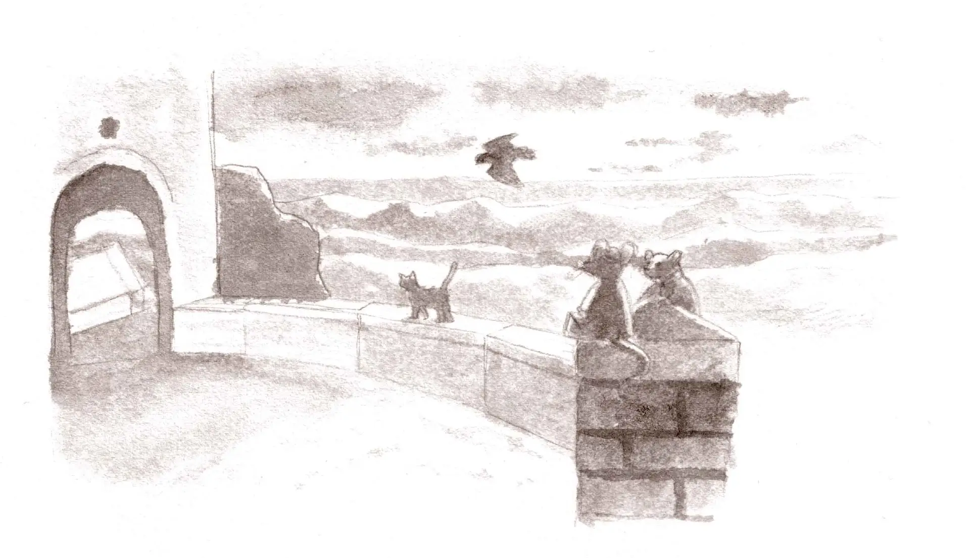 Ti Racconto una storia